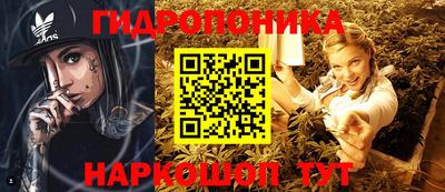 спиды Ливны