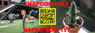 спиды Ливны