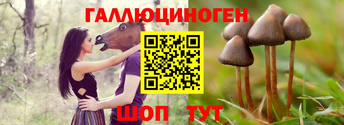 Якутск  Галлюциногенные грибы мицелий  Вход с VPN 